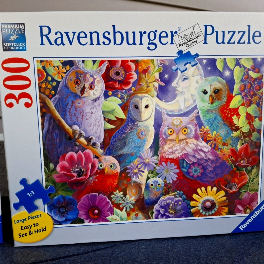 Ravensburger 300 piece puzzle